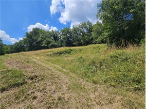 terrain à la vente -   12390  BELCASTEL, surface 4450 m2 vente terrain - UBI434868977